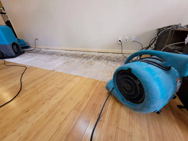 Professional Water Damage Repair technician working in Alamo, TN